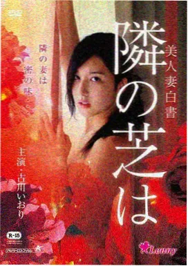 光年夏日